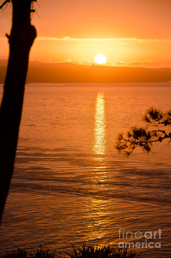 Auckland Sunrise #4 Photograph by Yurix Sardinelly