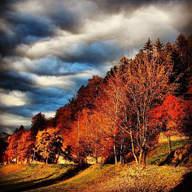 Autumn In South Tyrol #4 Photograph by Luisa Azzolini