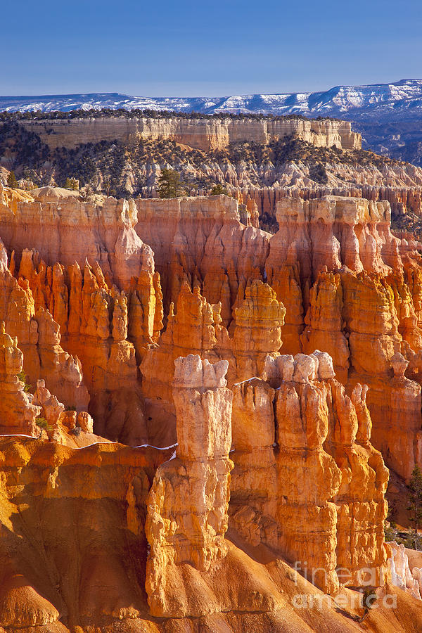 Bryce Canyon V Photograph by Brian Jannsen