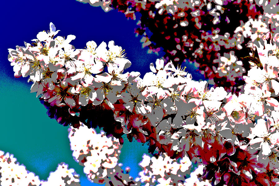 Flower Digital Art - Cherry blossom art #4 by David Pyatt