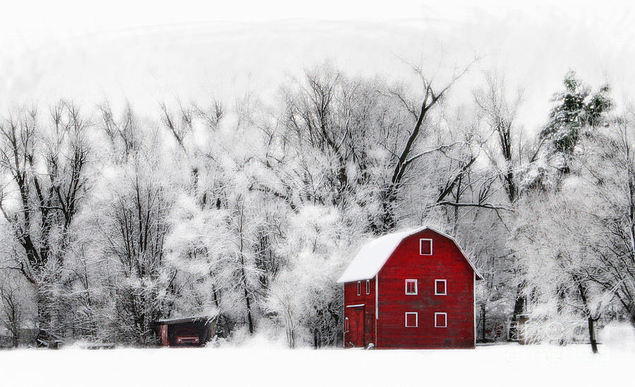 Country winter #4 Photograph by Gina Signore