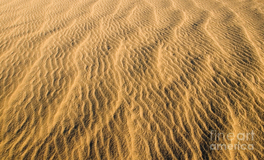 Death Valley California Sand Dunes #4 Photograph by ELITE IMAGE photography By Chad McDermott
