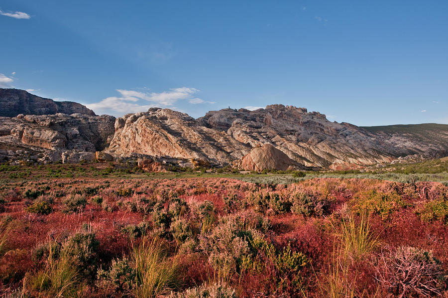 dinosaur np