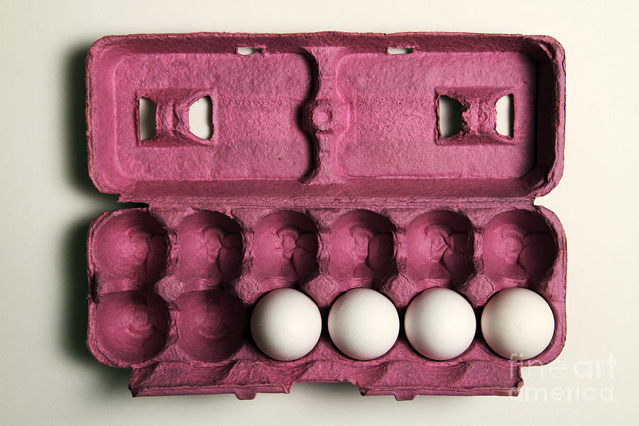 4 Eggs Photograph by Photo Researchers, Inc.