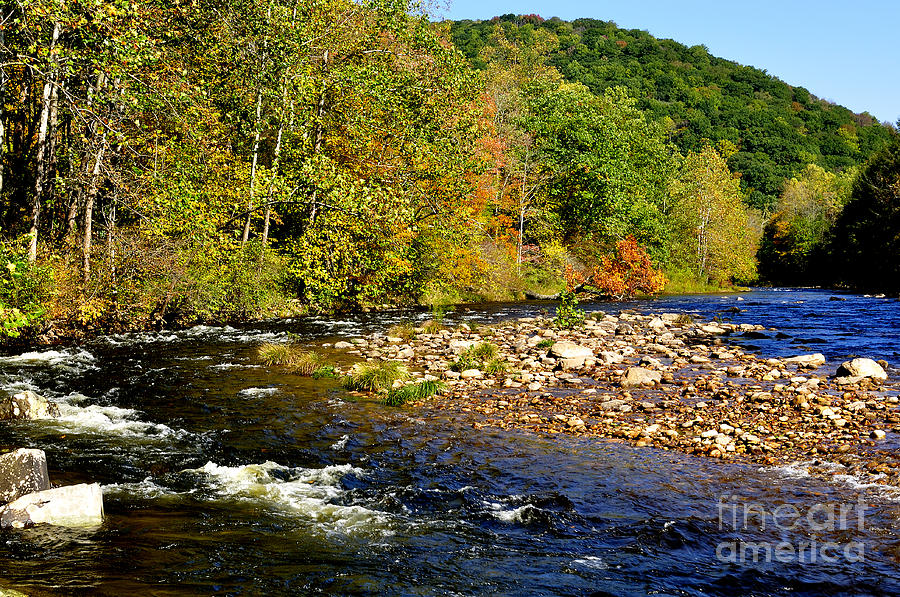 Fall Photograph - Fall along Williams River #4 by Thomas R Fletcher