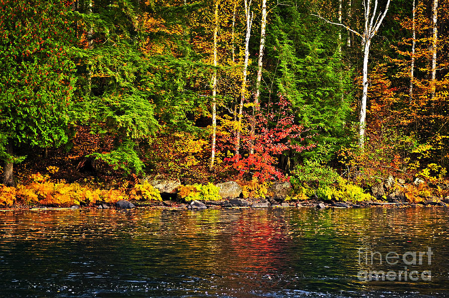 Fall forest and river landscape 1 Photograph by Elena Elisseeva
