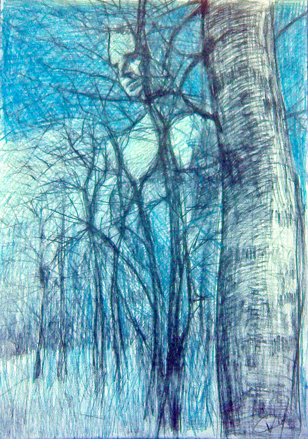 Forest #4 Drawing by Vaidos Mihai