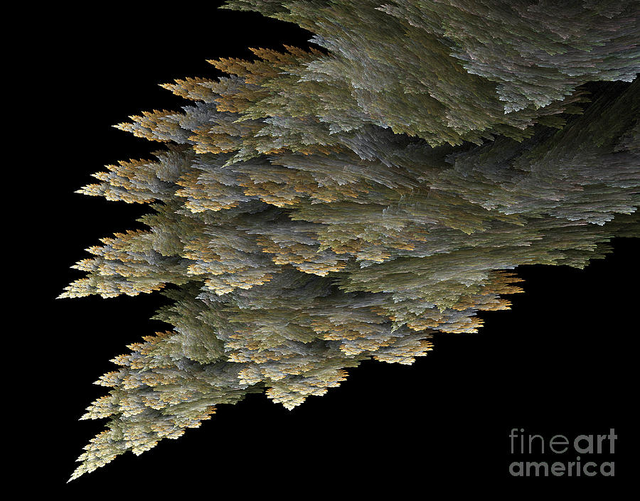 Fractal Image #7 Photograph by Ted Kinsman