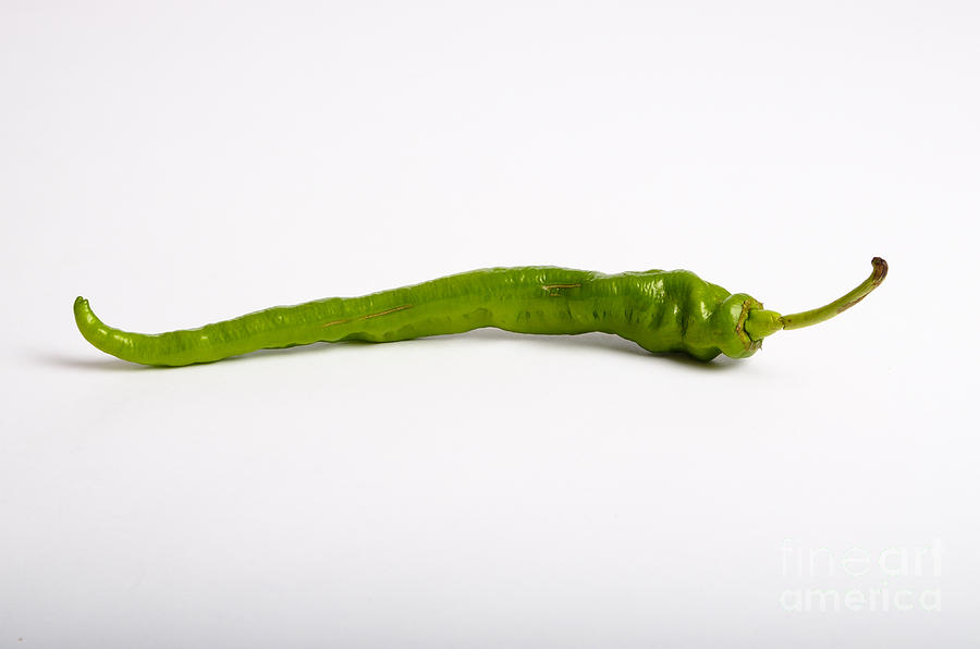 Green Chili Pepper #4 Photograph by Photo Researchers, Inc.