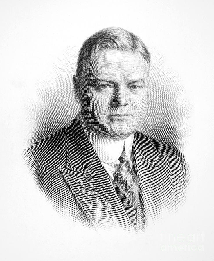 Herbert Hoover (1874-1964) Photograph by Granger