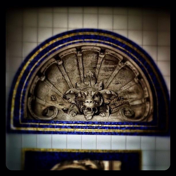 Terracotta Photograph - Historic Nyc Architectural Elements #4 by Natasha Marco