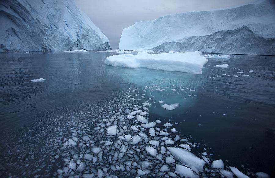 Iceberg #4 by Robbie Shone