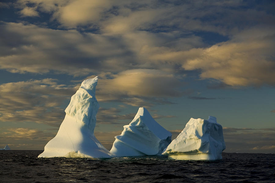 Icebergs Off Coast Of Fogo Island Photograph by John Sylvester - Fine ...
