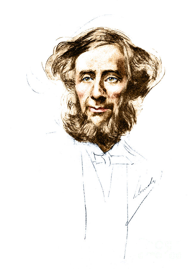 Portrait Photograph - John Tyndall, Irish Physicist #4 by Science Source
