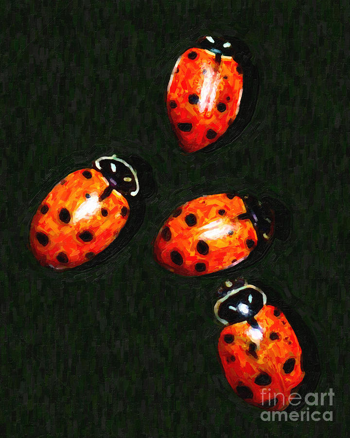 Ladybug Photograph - 4 Ladybugs by Wingsdomain Art and Photography