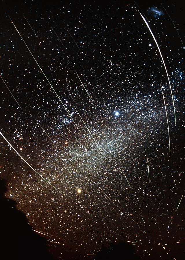 Leonid Meteors #4 Photograph by Dr Fred Espenak