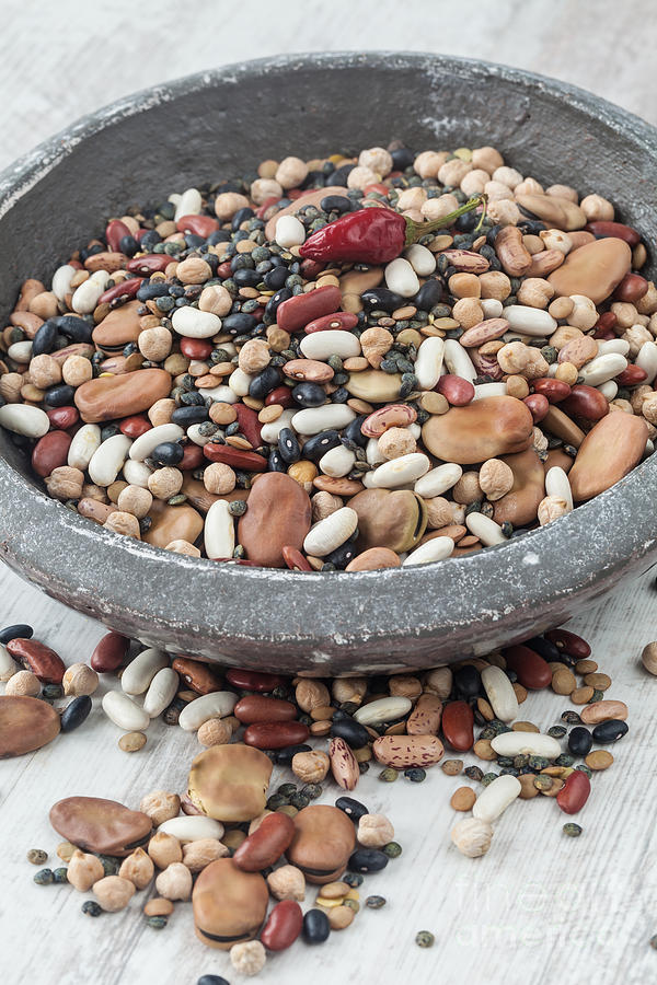 Mixed Legumes Photograph By Sabino Parente - Fine Art America