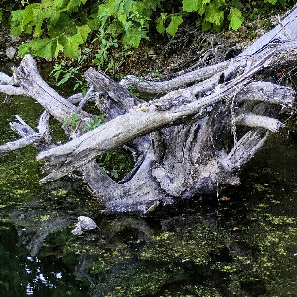 Spring Photograph - #nature #rock #river #spring #creek #4 by Dusty Anderson
