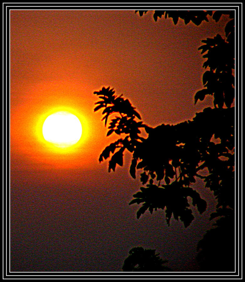 Raising Sun #4 Photograph by Anand Swaroop Manchiraju