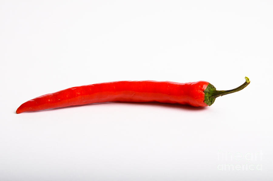 Red Chili Pepper #4 Photograph by Photo Researchers, Inc.