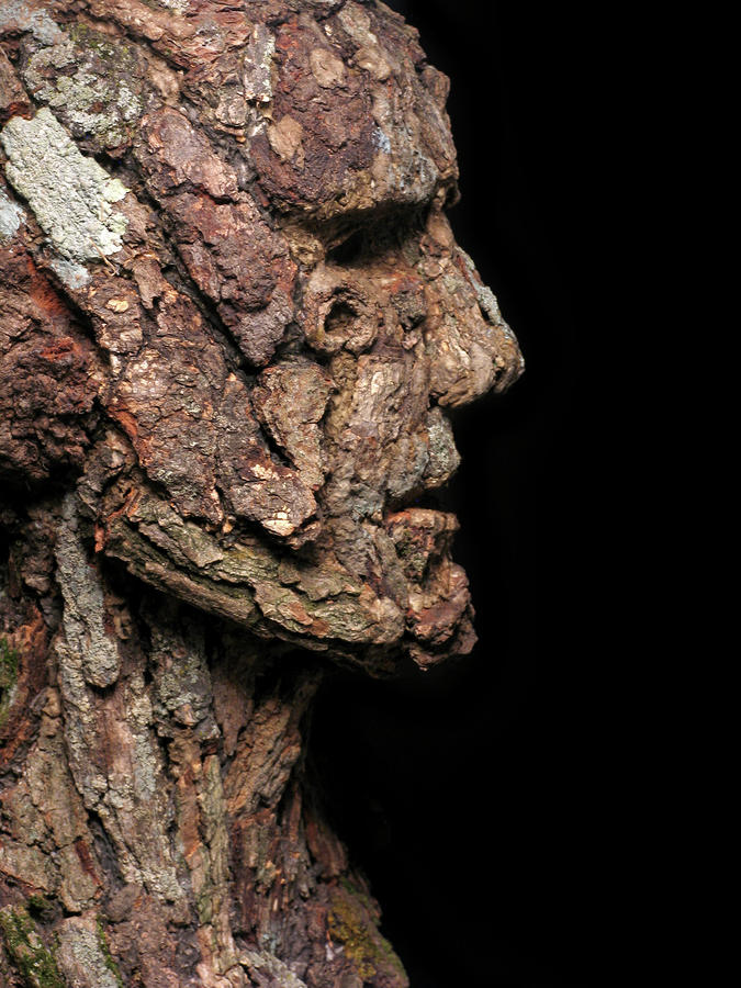 Revered  A natural portrait bust sculpture by Adam Long #1 Mixed Media by Adam Long