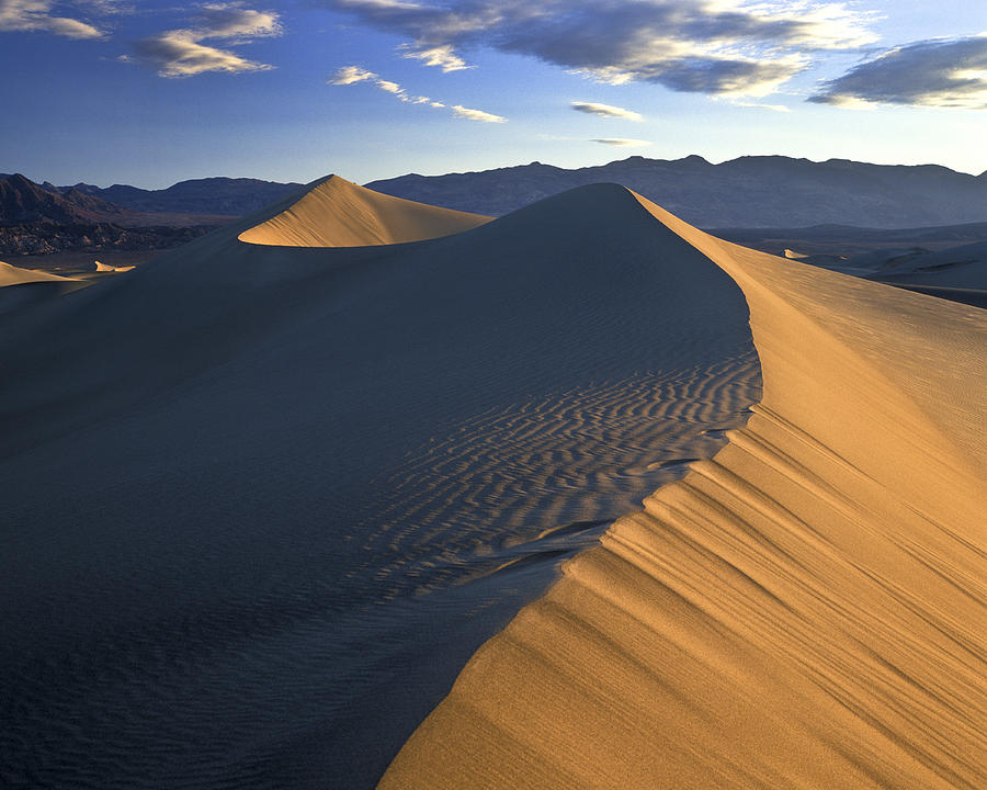 Sand Dune Death Valley #2 Photograph by Joe  Palermo