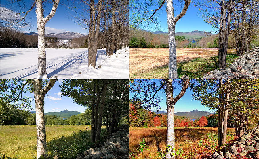 4 Seasons Mt. Chocura Photograph by Larry Landolfi