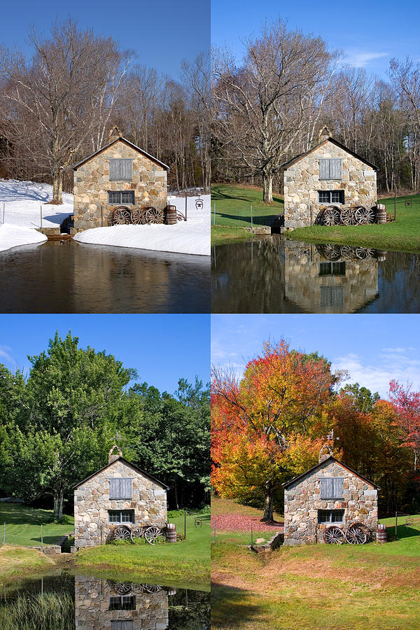 4 Seasons Stone Shed Vertical Photograph by Larry Landolfi