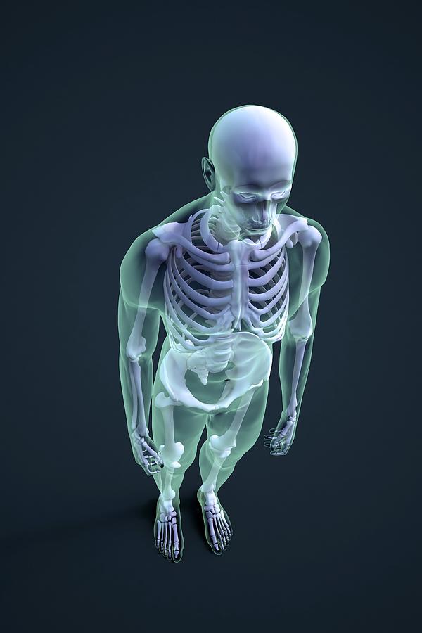 Skeleton, Artwork #4 Digital Art by Andrzej Wojcicki
