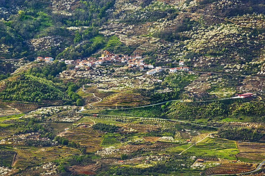 Spring Landscape In The Jerte Valley #4 Photograph by Gonzalo Azumendi