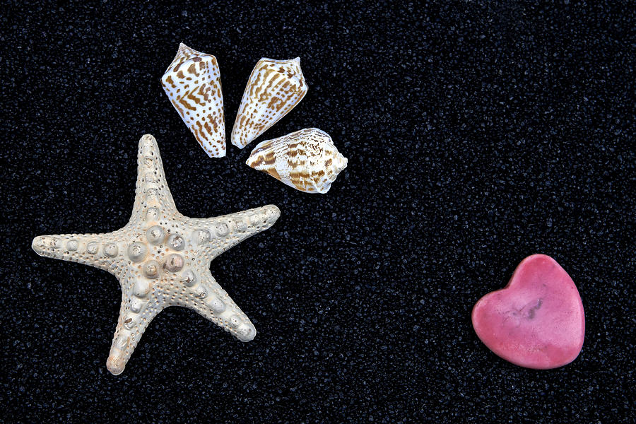 Summer Photograph - Starfish On Black Sand #4 by Joana Kruse