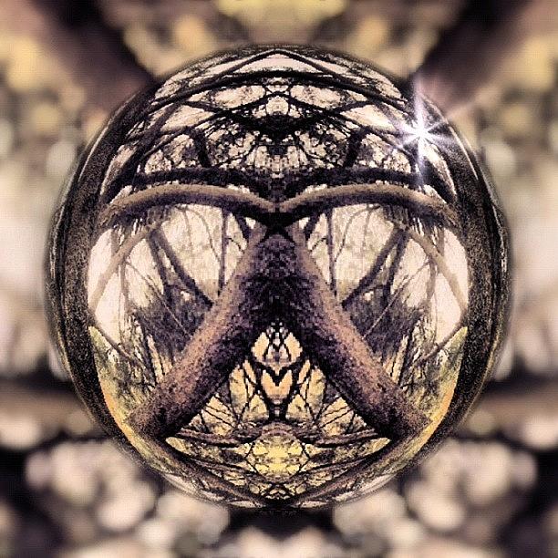 Abstract Photograph - #tagstagram .com #abstract #symmetry #4 by Dan Coyne