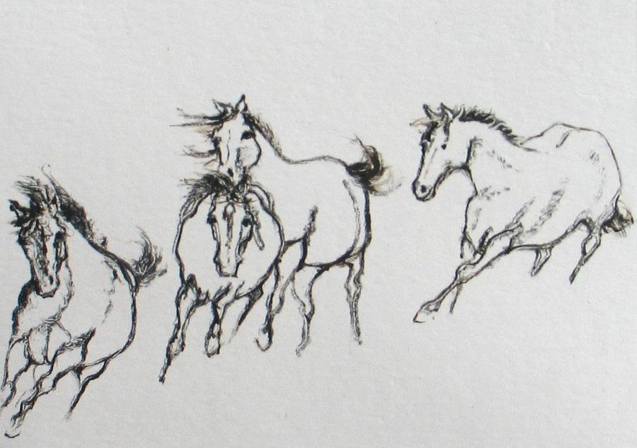 Wild Horses Painting - 4 Wild Horses  by Elizabeth Parashis