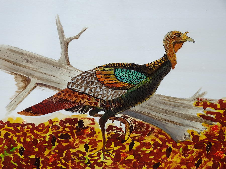 Bird Painting - Wild Turkey #4 by Nancy Fillip