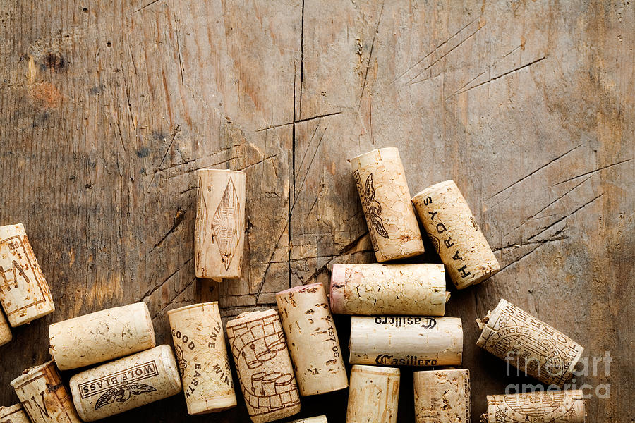 Wine corks #4 Photograph by Kati Finell