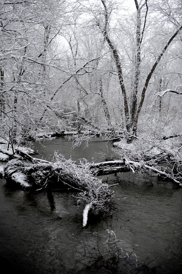 Winter Photograph - Winter Storm #4 by Frank DiGiovanni