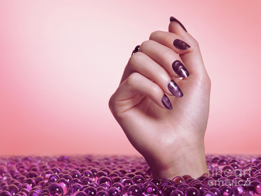 Woman Hand With Purple Nail Polish Photograph By Maxim Images Exquisite Prints Pixels