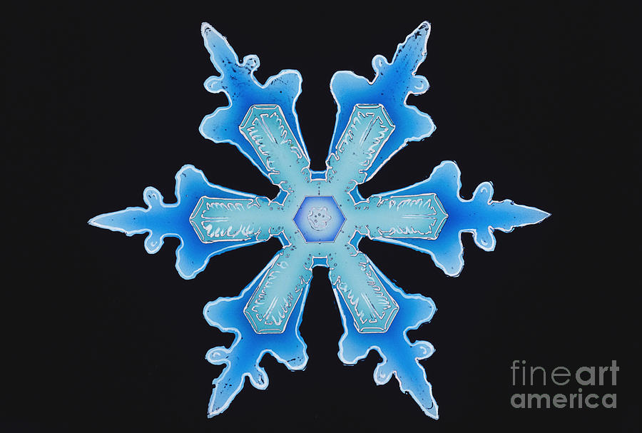 Snowflake #40 Photograph by Science Source
