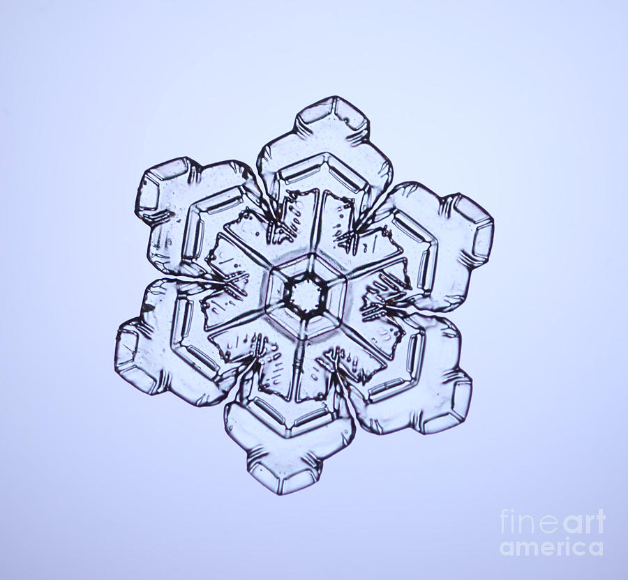Snowflake #41 Photograph by Ted Kinsman