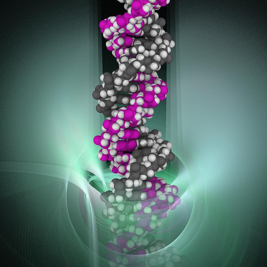 Square Digital Art - Dna Molecule, Artwork #42 by Laguna Design