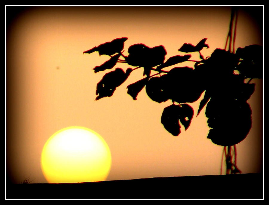 Sun In Different Moods #44 Photograph by Anand Swaroop Manchiraju