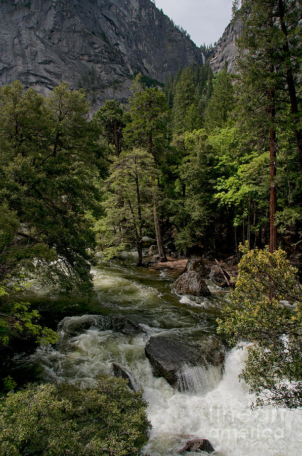 Yosemite #44 Digital Art by Carol Ailles