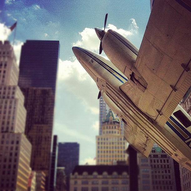 Instagram Photo Photograph by Daniel Rosales Instagram Photo Photograph by Daniel Rosales