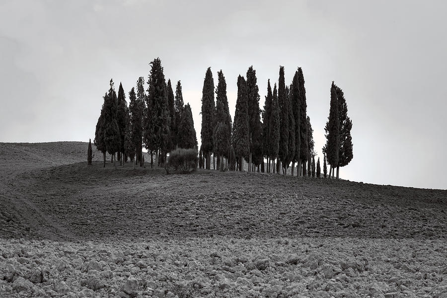 Tuscany #47 Photograph by Joana Kruse