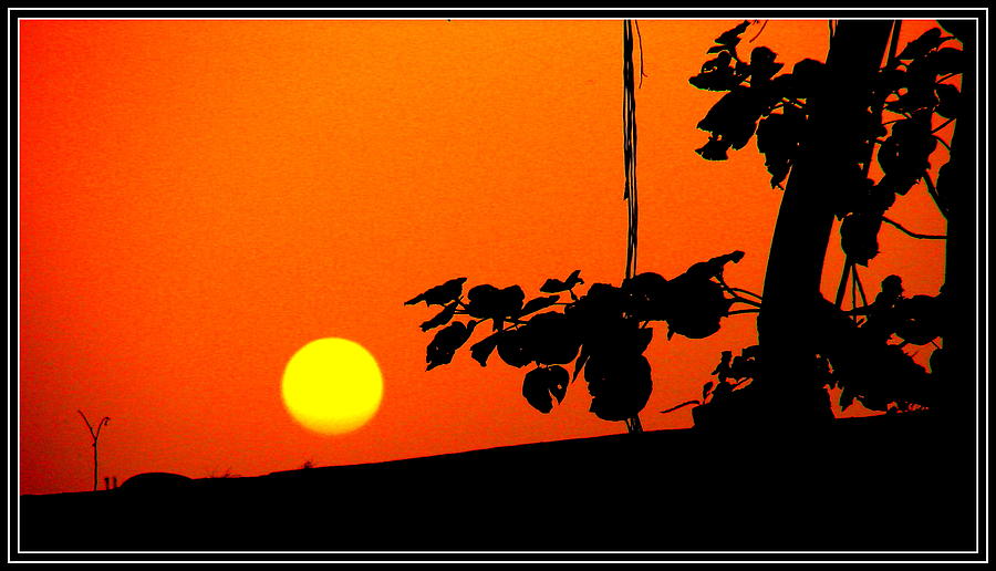 Sun In Different  Moods #48 Photograph by Anand Swaroop Manchiraju