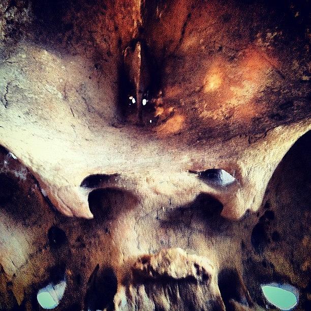 Skull Photograph - Instagram Photo #491344201383 by Sundar Kanchibhotla