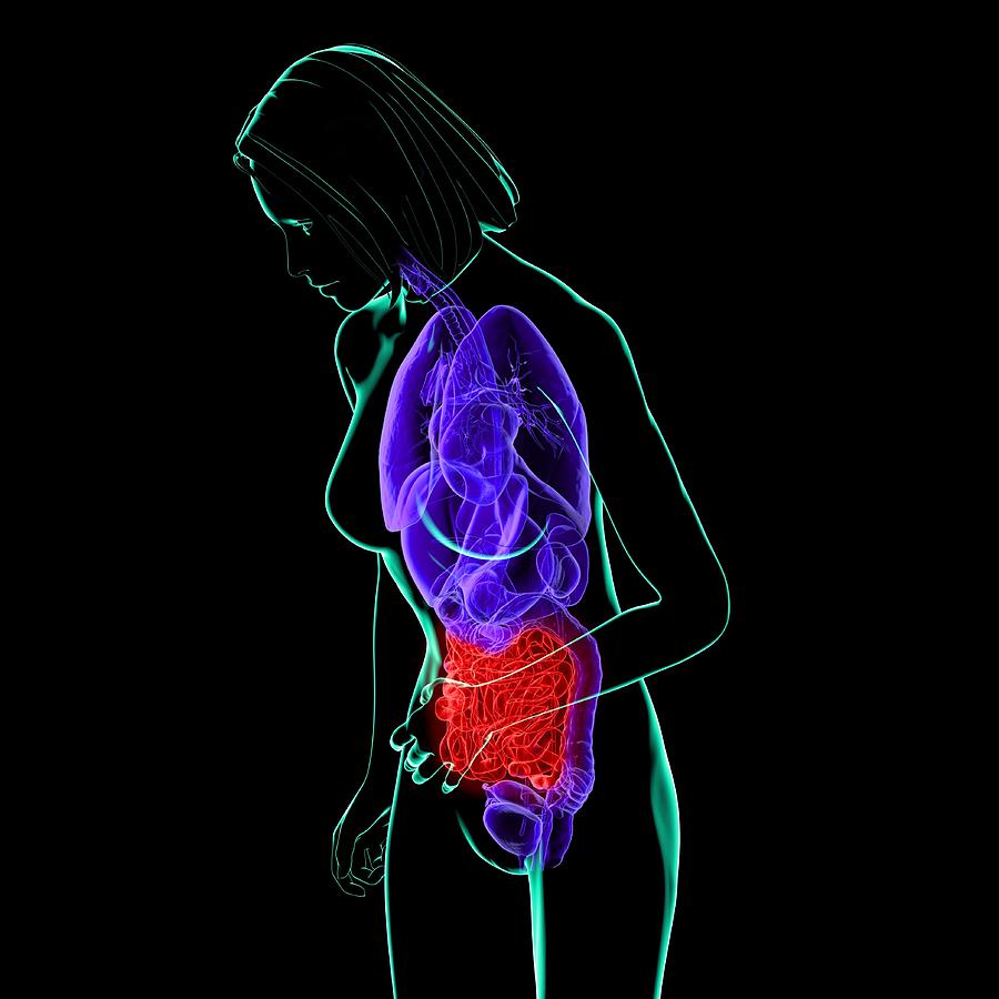 Abdominal Pain, Conceptual Artwork by Roger Harris