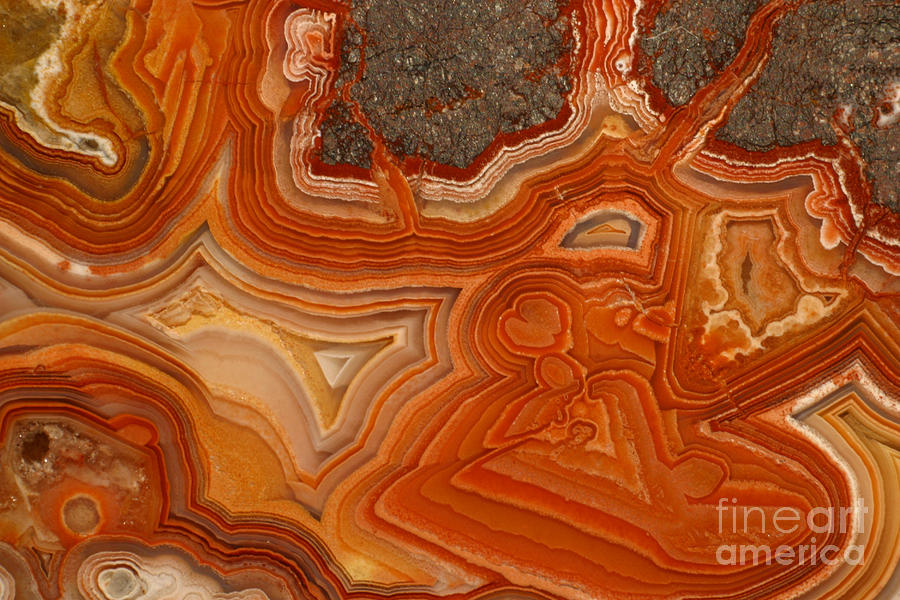 Agate #5 Photograph by Ted Kinsman