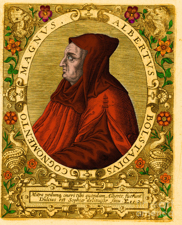 Portrait Photograph - Albertus Magnus Medieval Philosopher #8 by Science Source