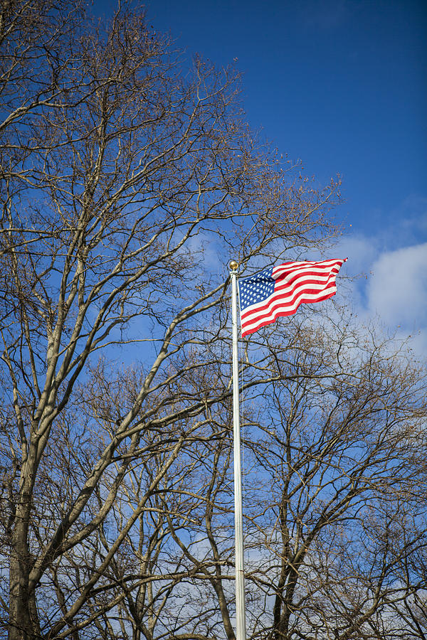 American Flag #5 Photograph by Theodore Jones